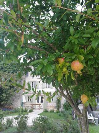 Дома для отпуска The Little House Gornji Orahovac Дом с 3 спальнями-2