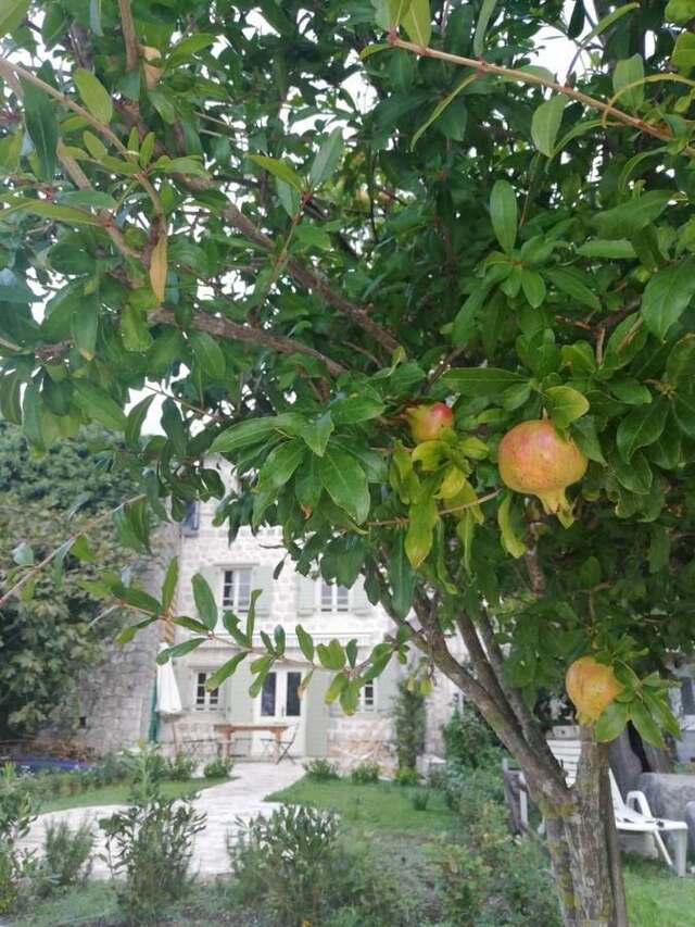Дома для отпуска The Little House Gornji Orahovac-4