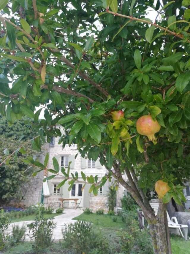 Дома для отпуска The Little House Gornji Orahovac-86
